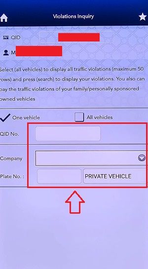 Enter Vehicle Details