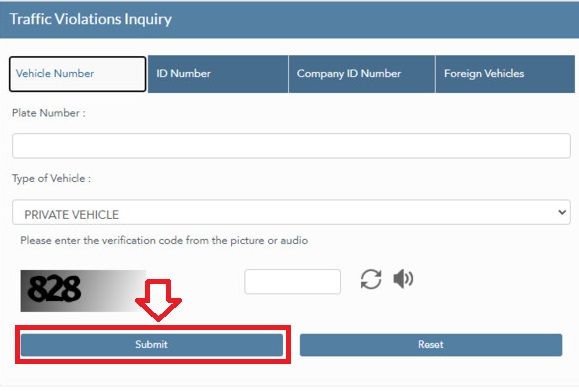 Submit and View Results -Check Traffic Violation by Plate Number